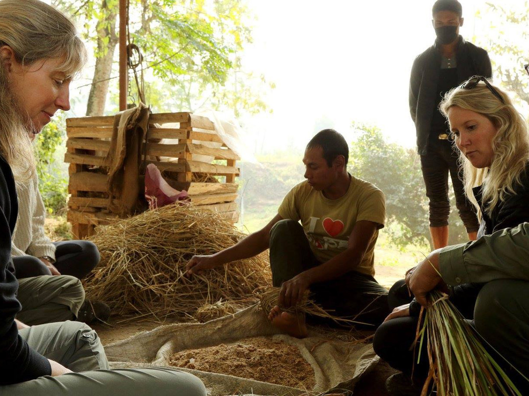 Amaltari旅游攻略图片