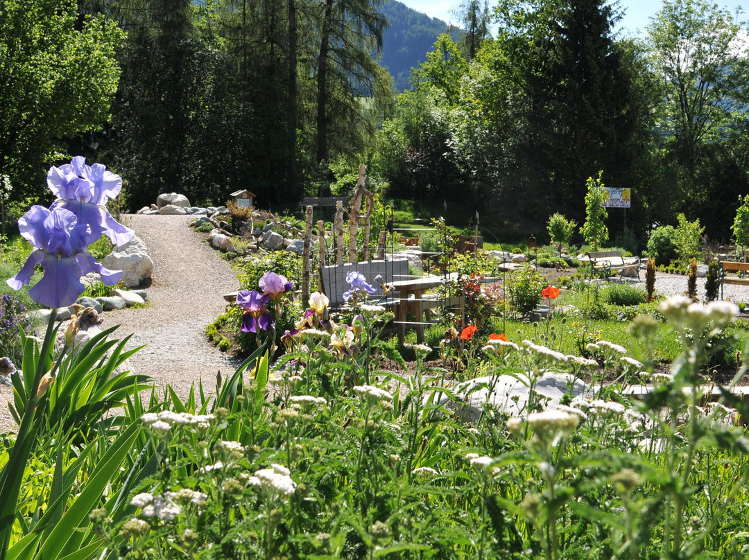 Hildegard von Bingen Garten-莱斯高山溪谷必去景点