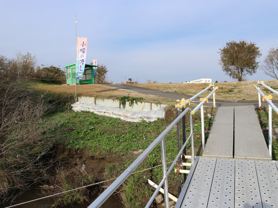 Ohori no Watashi景点图片