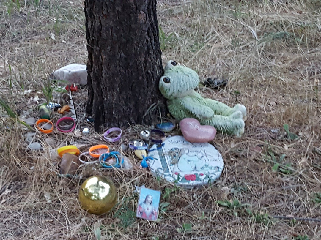 Sanctuary Center-Sedalia必去景点