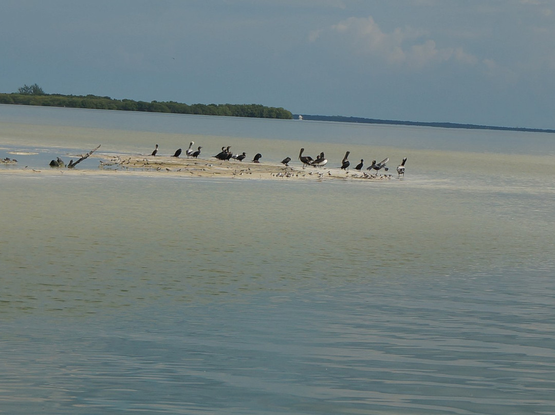 Isla Pajaros-尤卡坦半岛必去景点
