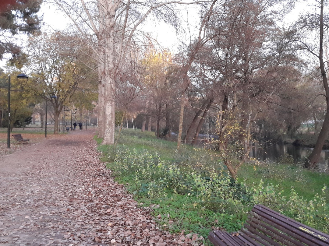Parque de la Isla景点图片