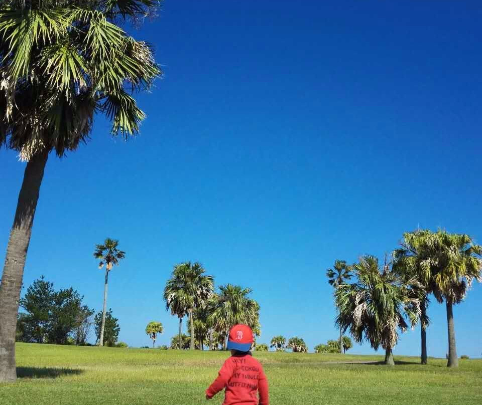 Miyazaki Waterfront Park-宫崎市必去景点