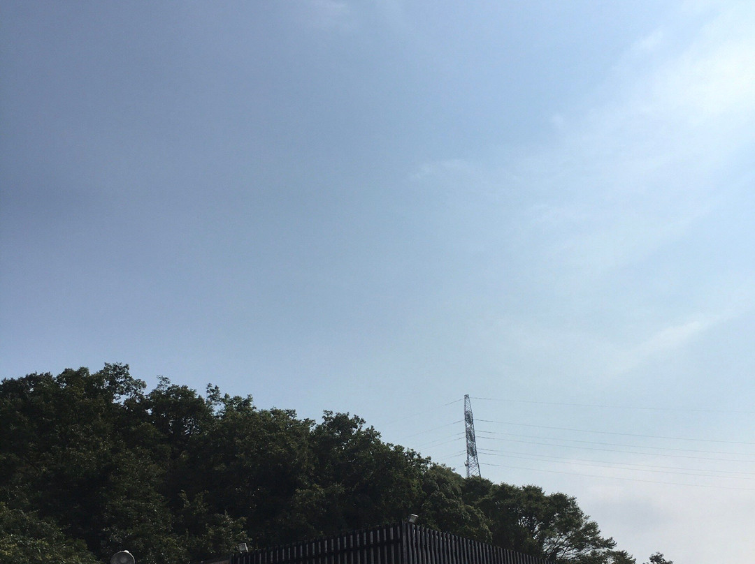台湾料理 福の源