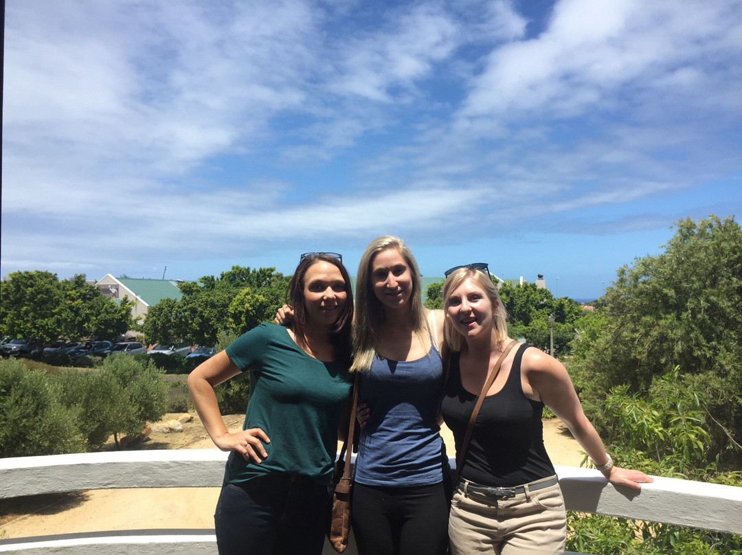 Whalehaven Winery-赫曼努斯必去景点