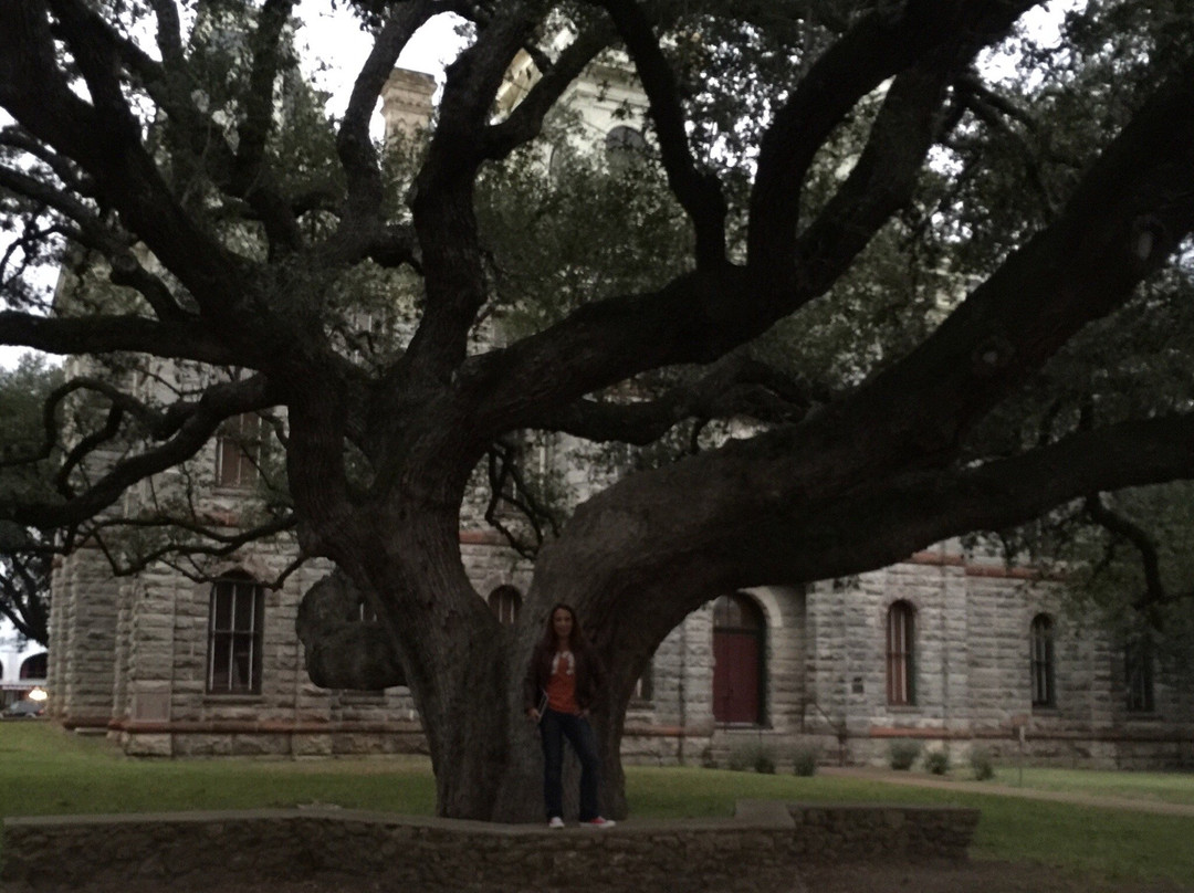 Hanging Tree-Goliad必去景点