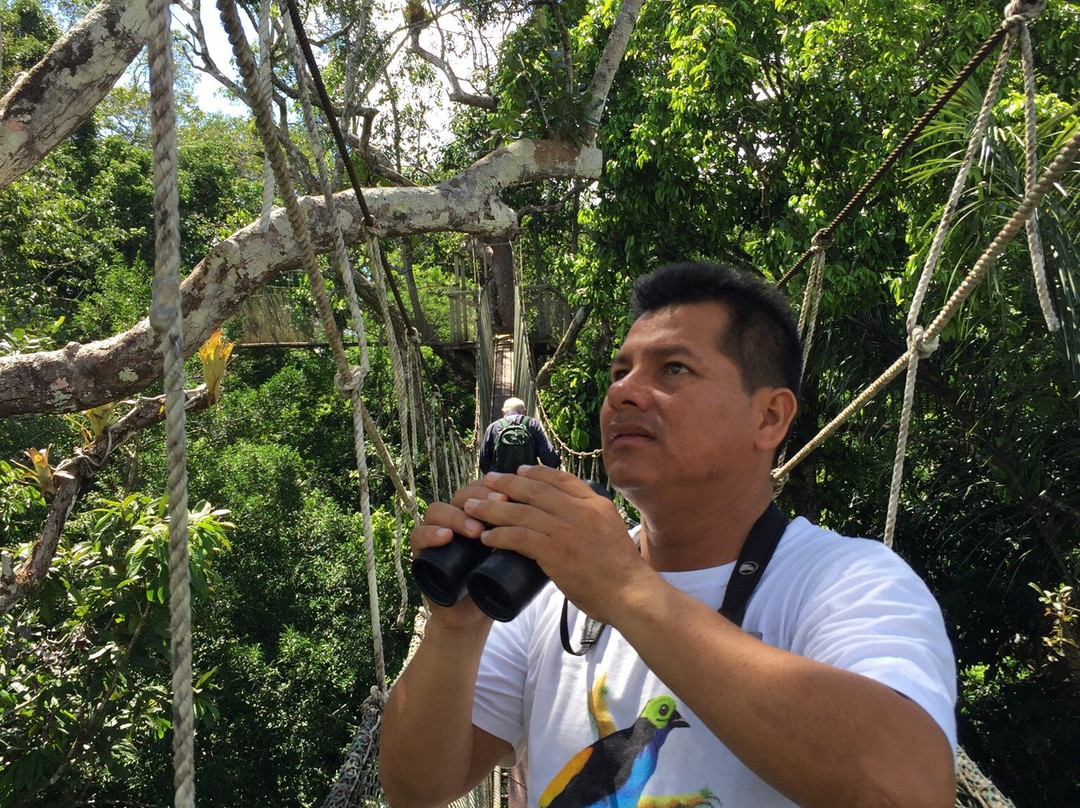 Canopy Walkway景点图片