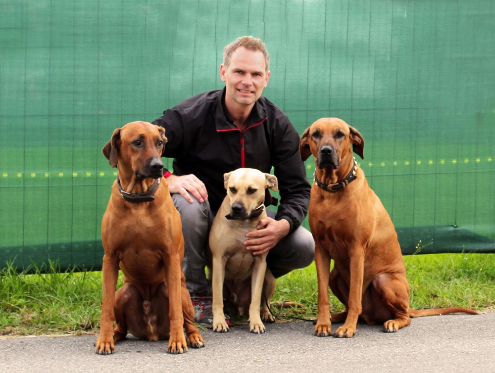 Doginstinct Hundeschule-多恩比恩必去景点