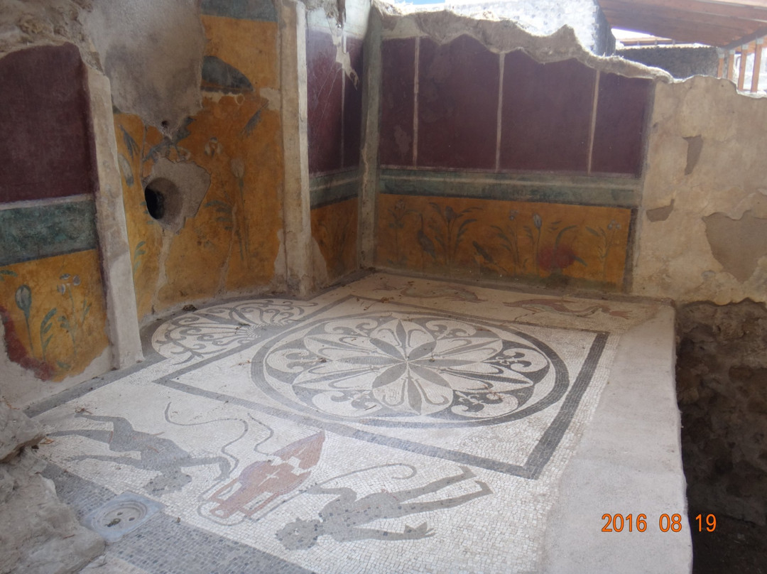 House of the Cryptoporticus-庞贝必去景点