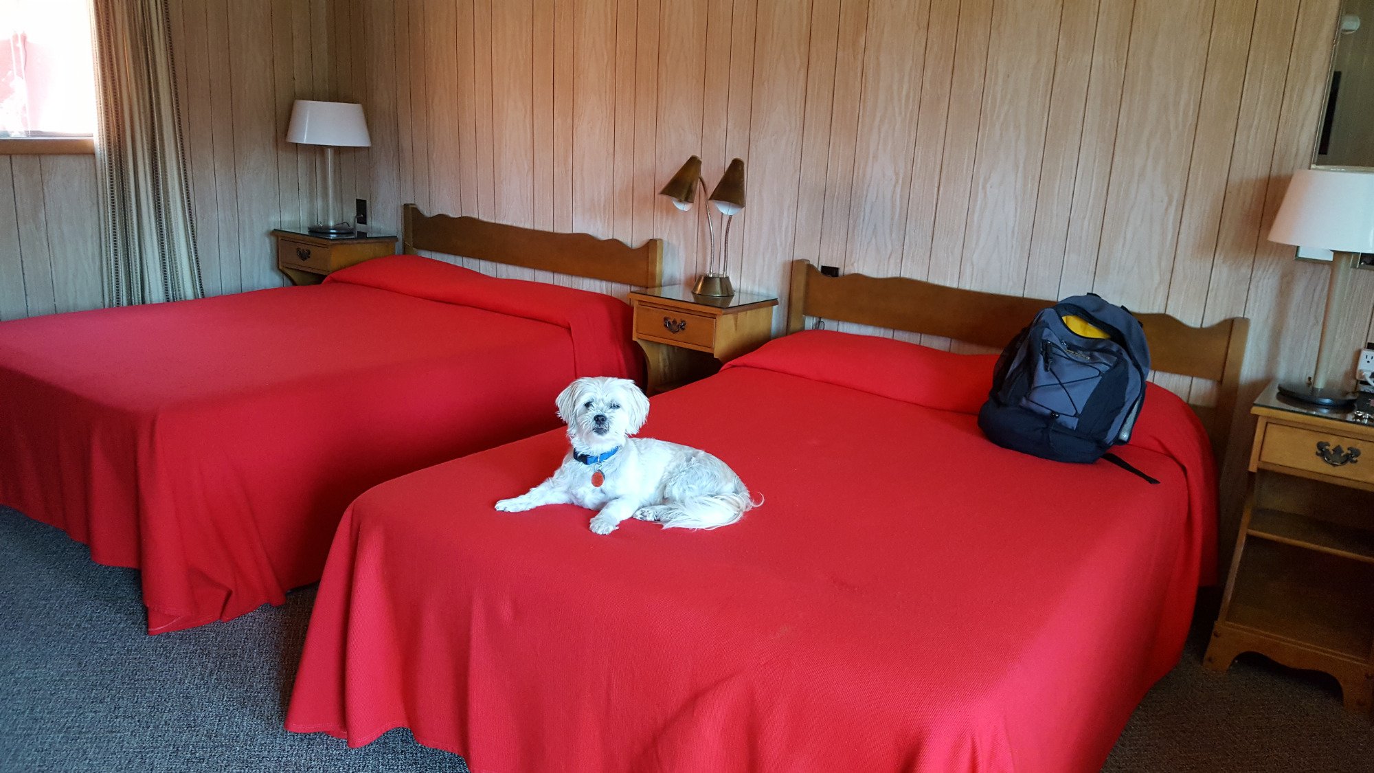 Nor-West Motel-官方