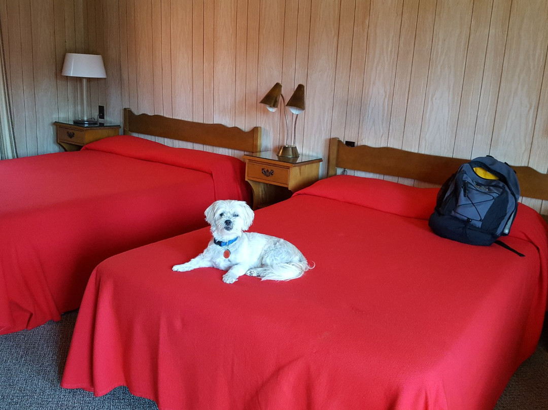 Terrace Bay酒店住宿-Nor-West Motel