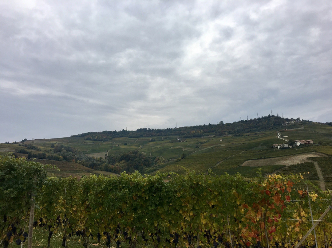 Chocolate Museum-Vicoforte必去景点