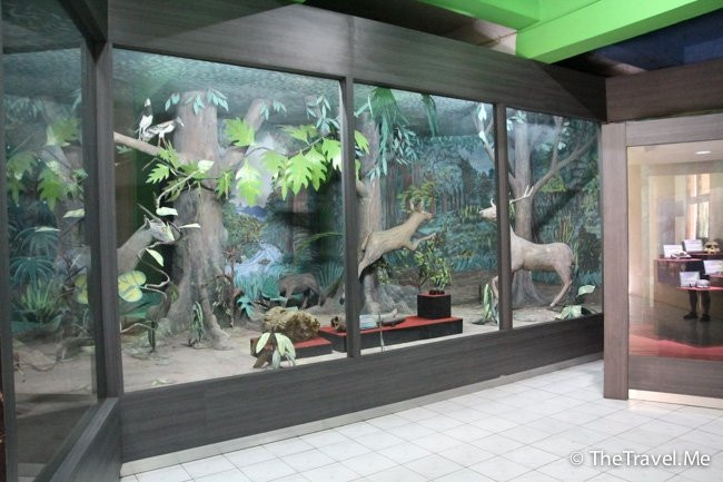 Museum Negeri Propinsi Sulawesi Utara景点图片