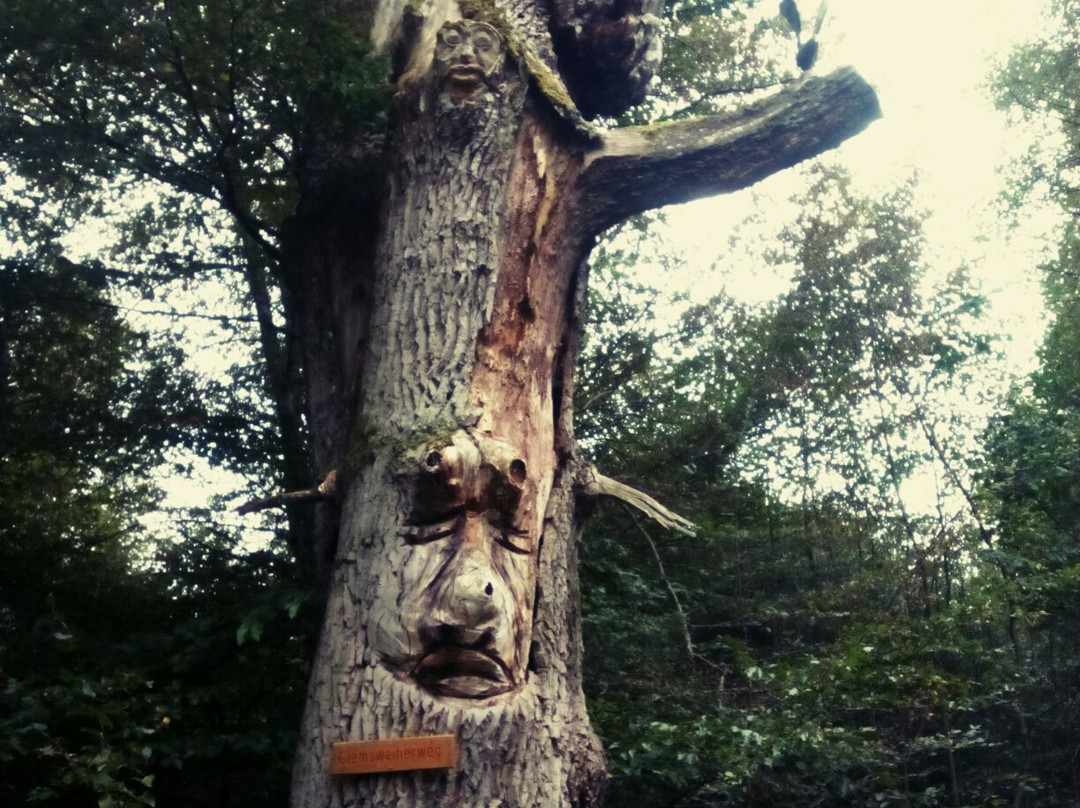 Bärensee景点图片