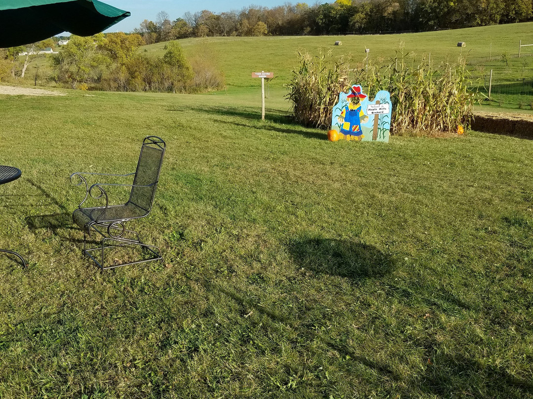 Maple Hills Orchard-Frazee必去景点