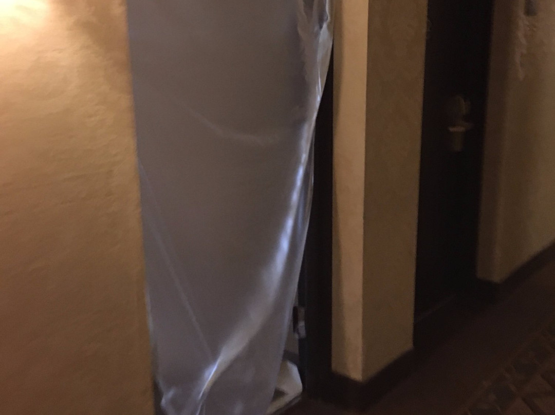 德斯普兰斯酒店住宿-奥黑尔康福特茵酒店-会议中心