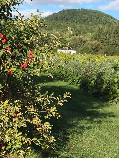 Domaine De Lavoie-Rougemont必去景点