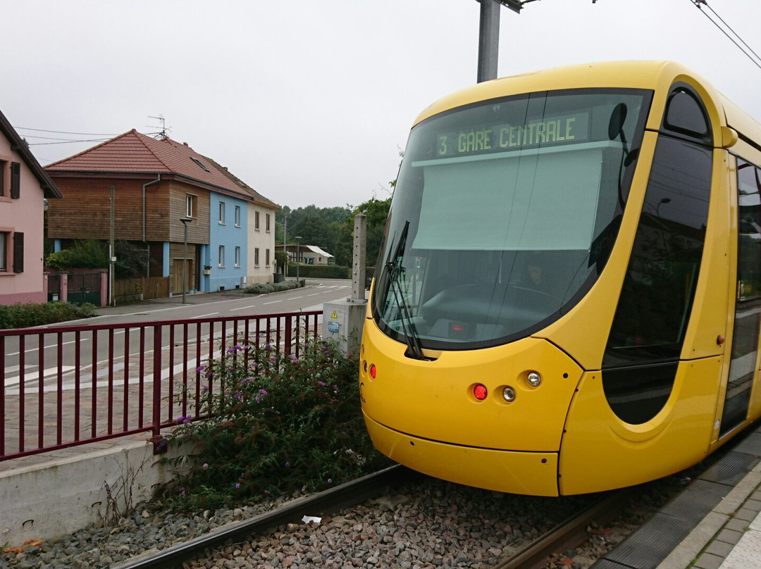 Tramway de Mulhouse-米卢斯必去景点