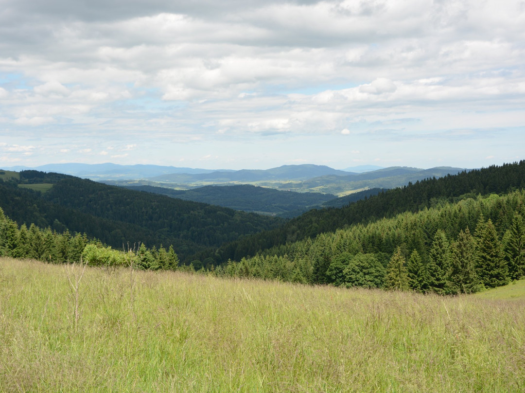 Snieznicki Landscape Park景点图片