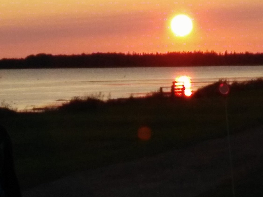 Linkletter Provincial Park景点图片