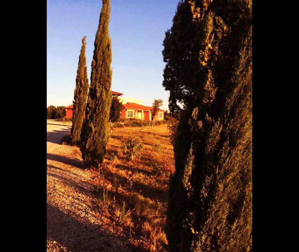 La Biagiola Winery景点图片
