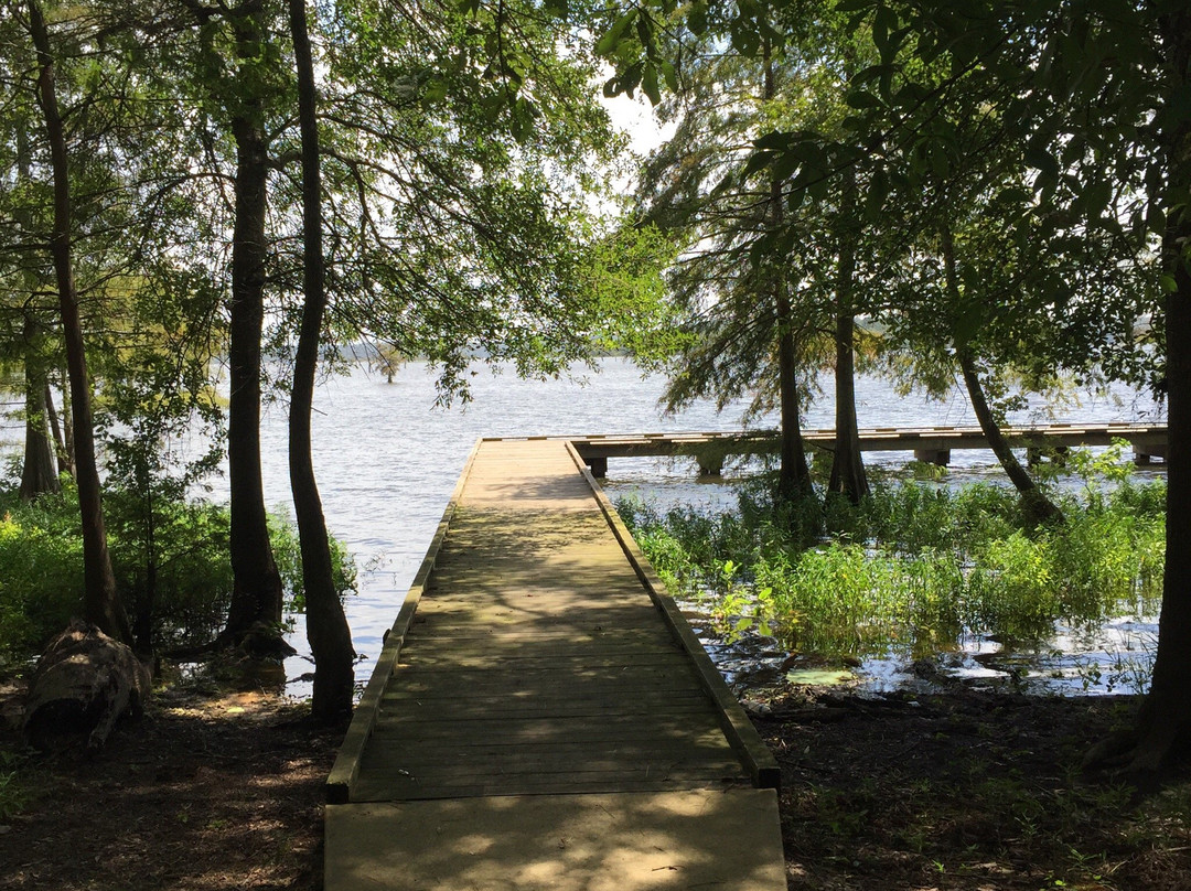 Lake D'Arbonne Louisiana State Park景点图片