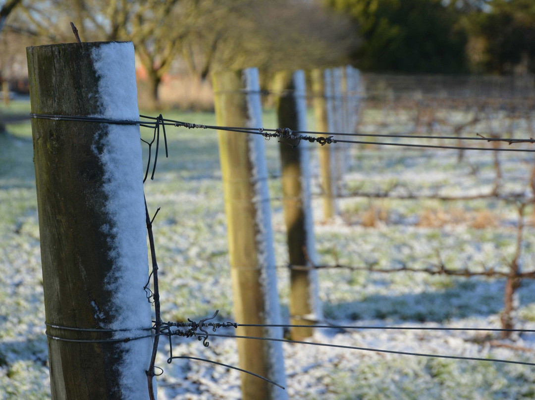 Cope-Williams Winery-Romsey必去景点