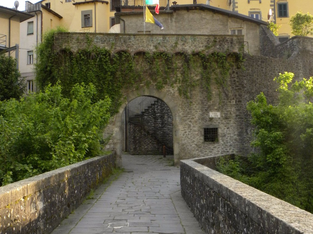 Ponte di Santa Lucia景点图片