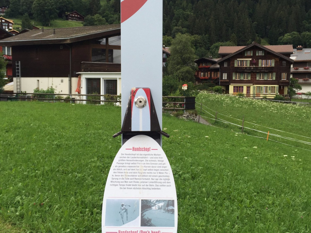 Lauberhorn Crazygolf-翁根必去景点