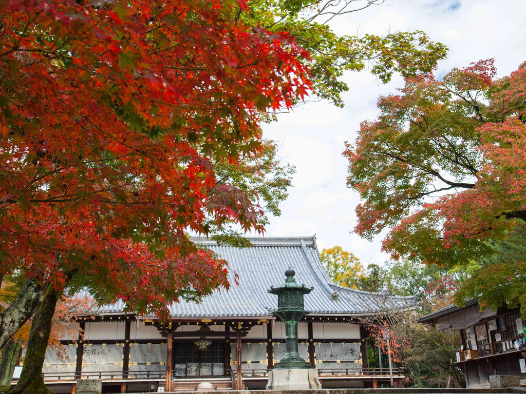 仁和寺-京都市必去景点