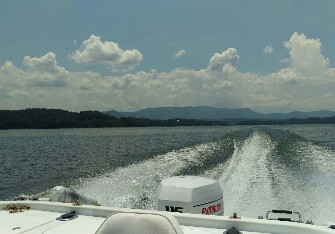 Swann's Marina-Dandridge必去景点