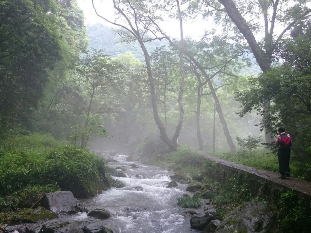 小溪保护区景点图片