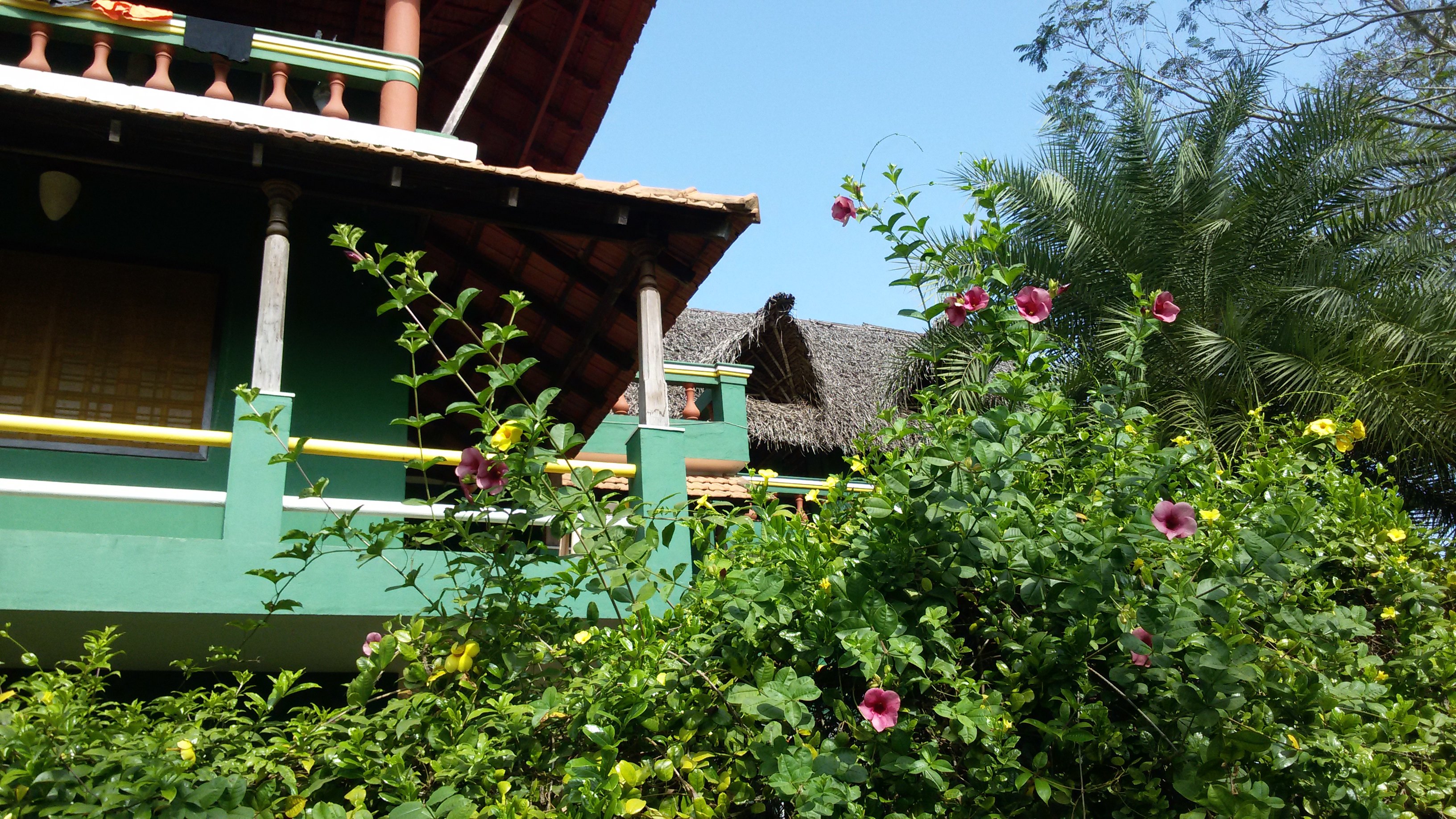 Green's Guesthouse-官方