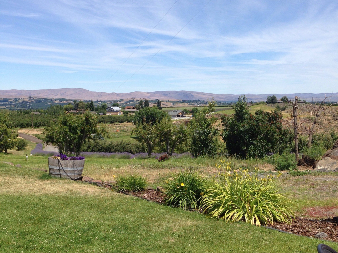 Wilridge Vineyard, Winery & Distillery景点图片