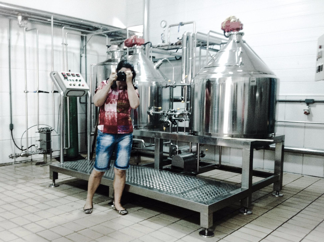 Else Beer-Viana必去景点