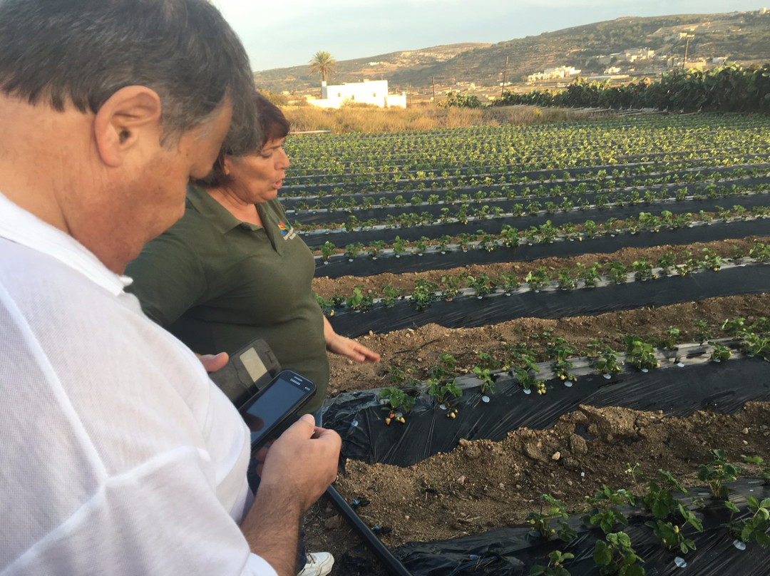 Koperattiva Rurali Manikata-梅雷赫必去景点