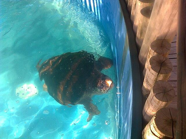 Projeto Tamar Guriri-Sao Mateus必去景点