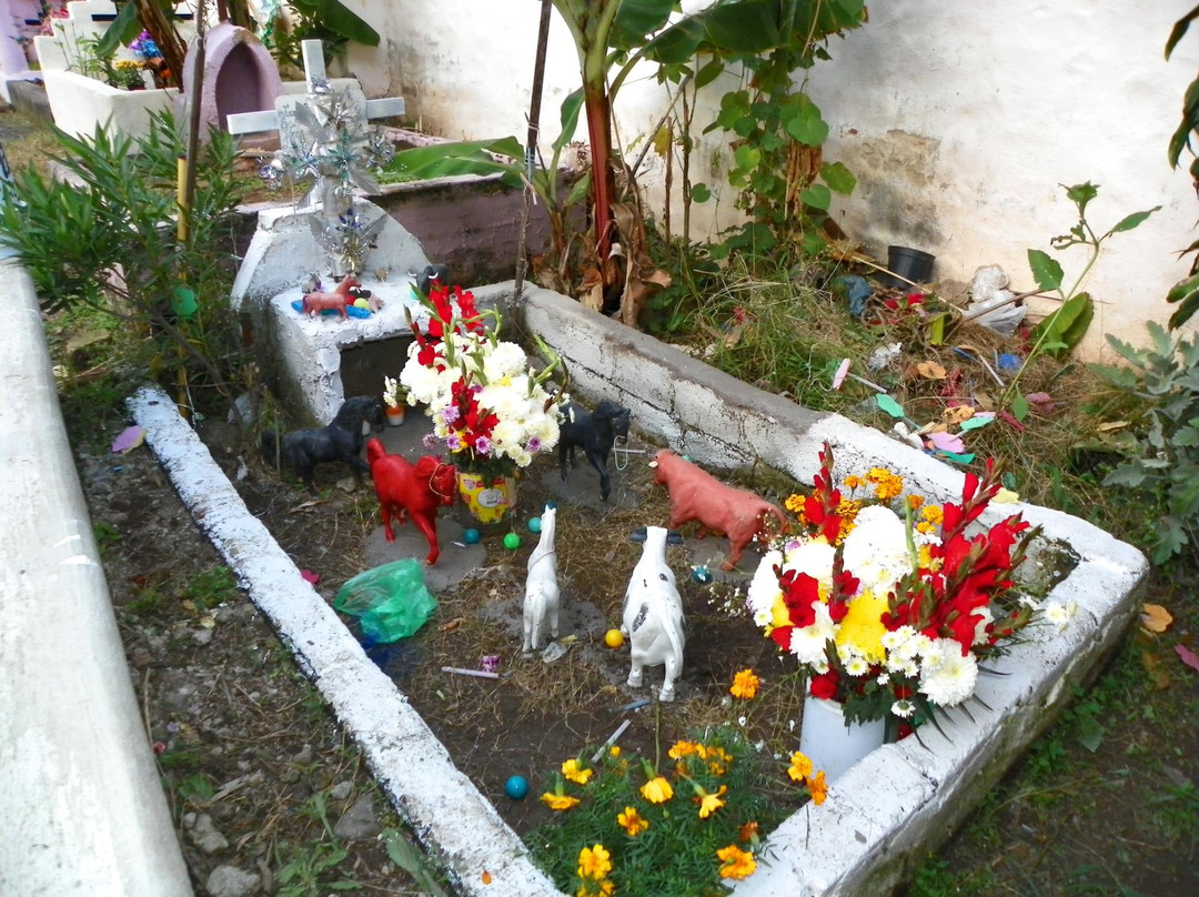 Ajijic Cemetery-Ajijic必去景点