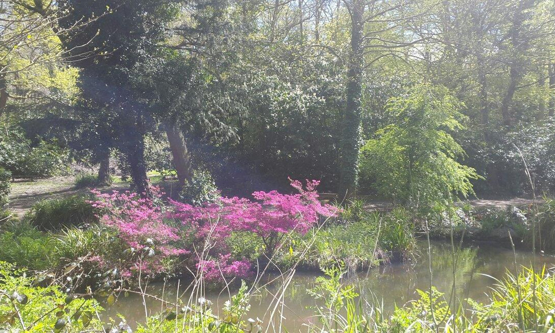 Holly Hill Woodland Park景点图片