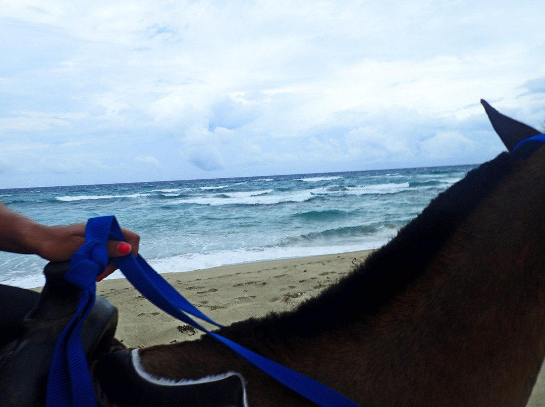 Equestrian Center at Sea Horse Ranch景点图片