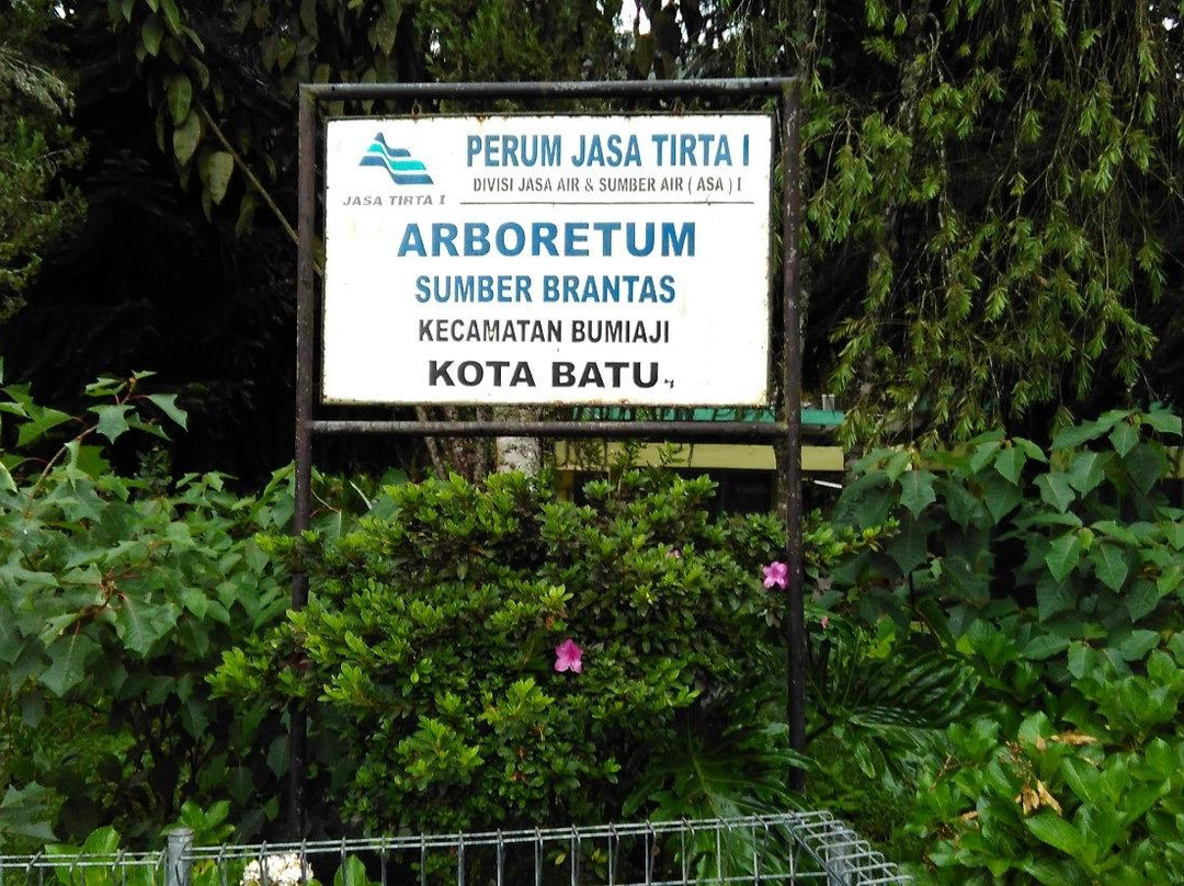 Arboretum Sumber Brantas景点图片