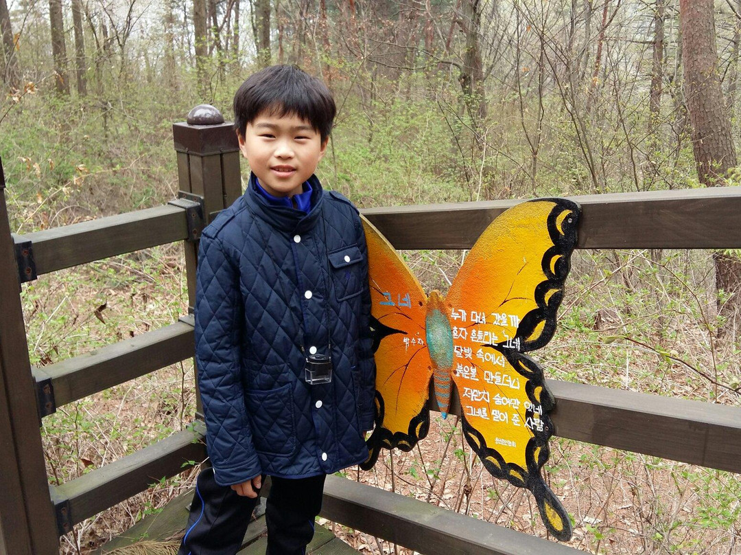 Yonin Natural Recreation Forest-龙仁市必去景点