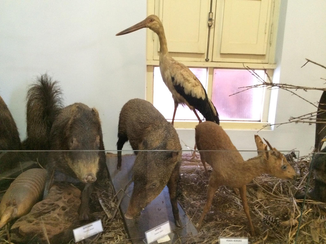 Sete Quedas Museum-Guaira必去景点