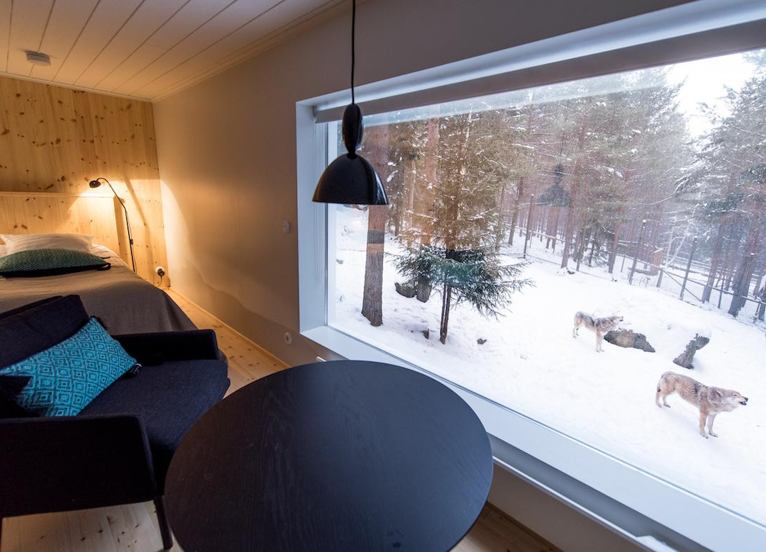 The Wolf Hotel