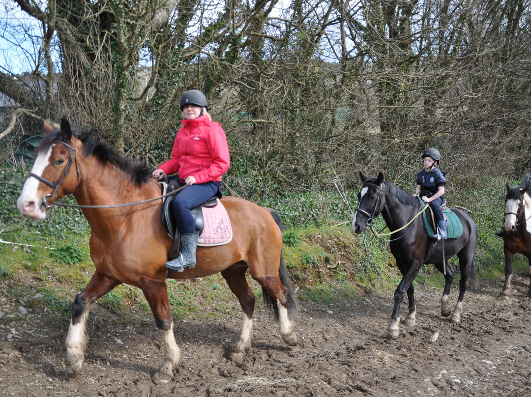 Kinsale Equestrian Centre景点图片