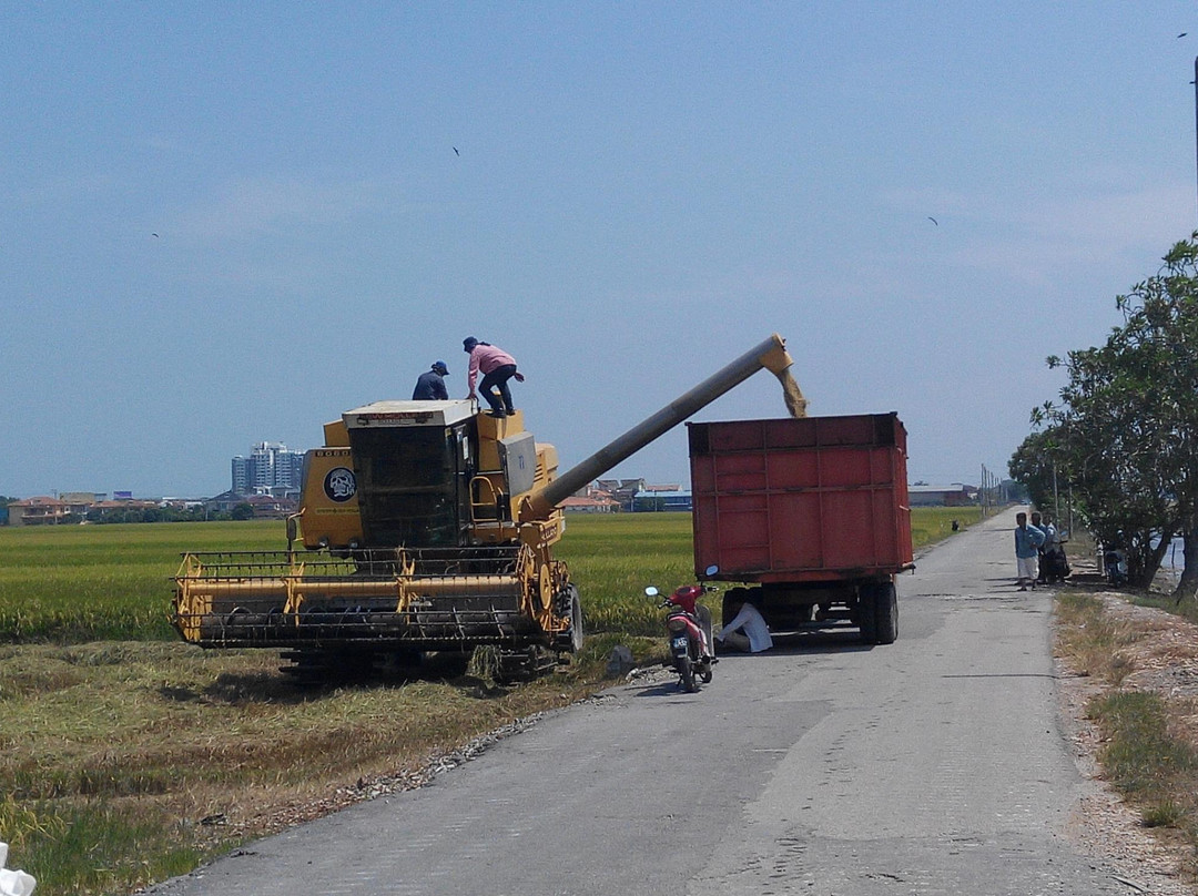 适耕庄酒店住宿-Padi Box