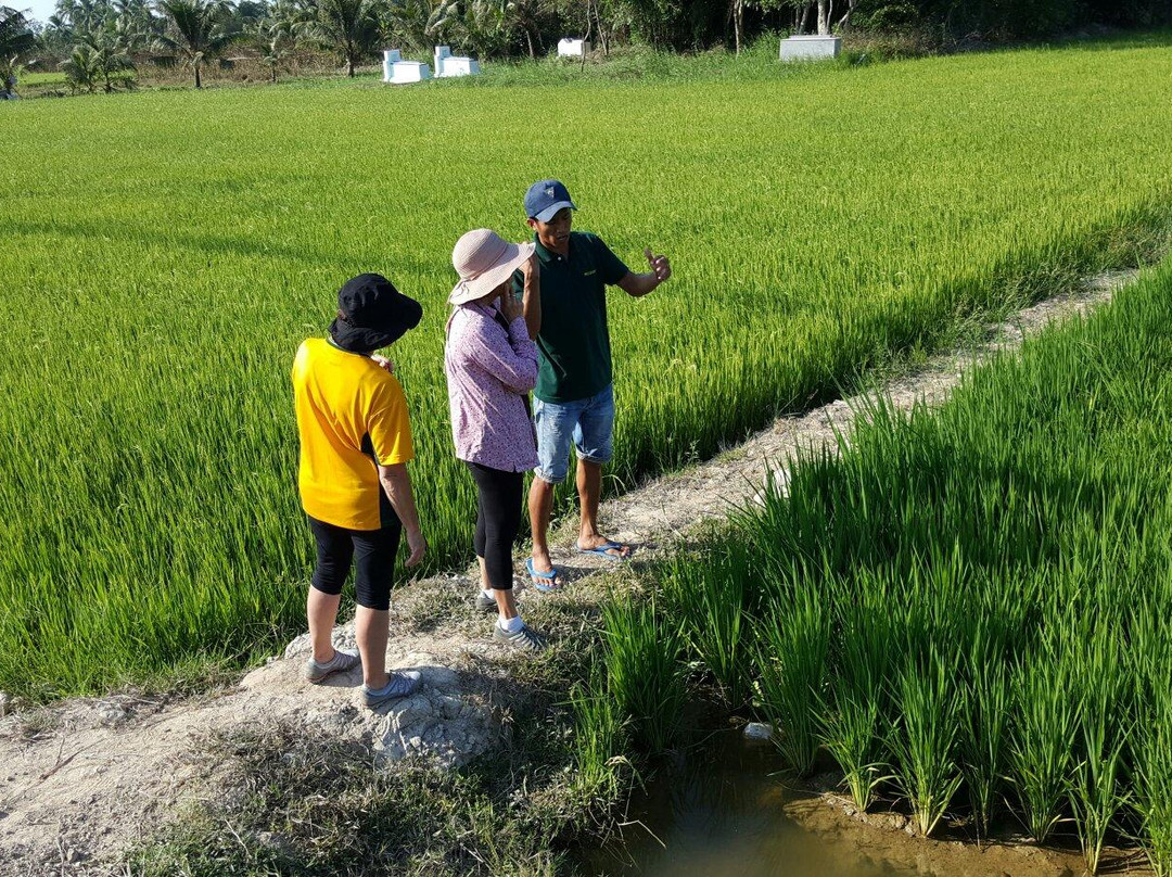 Mekong Ecolodge - Day Tours-凯比必去景点