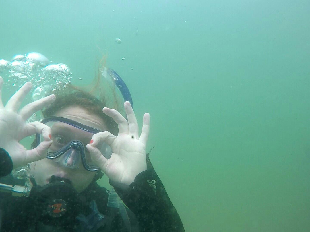 Pro Dive-悉尼必去景点