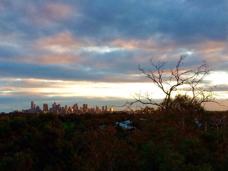 Wurundjeri Spur Lookout景点图片