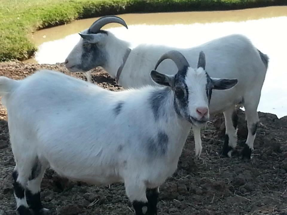 Merced Fruit Barn-默塞德必去景点
